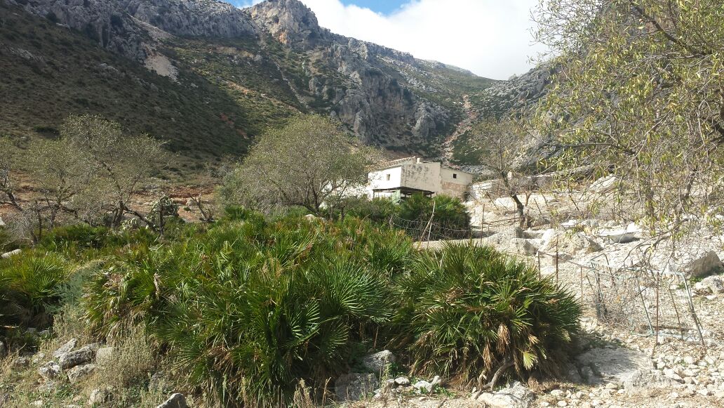 Finca Malaga singulière unique