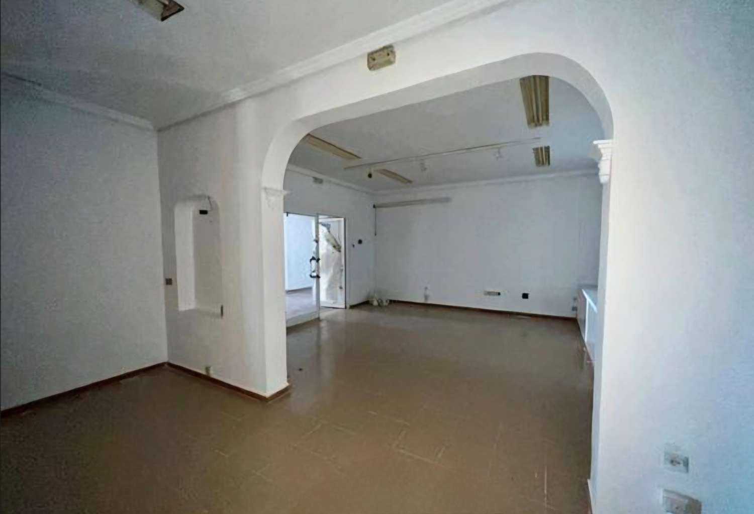 Bedrijf te koop in Las Lagunas (Mijas)