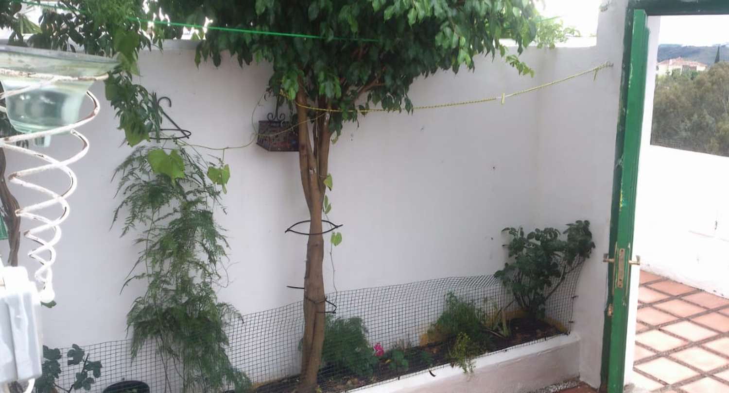 Estudio con patio en Pueblo Mijitas (Mijas Golf) Mijas Costa