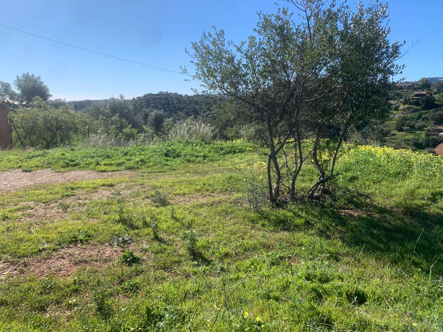 9.597 m2 Parcela con permiso de casa aperos , deposito de riego y vallado actual.