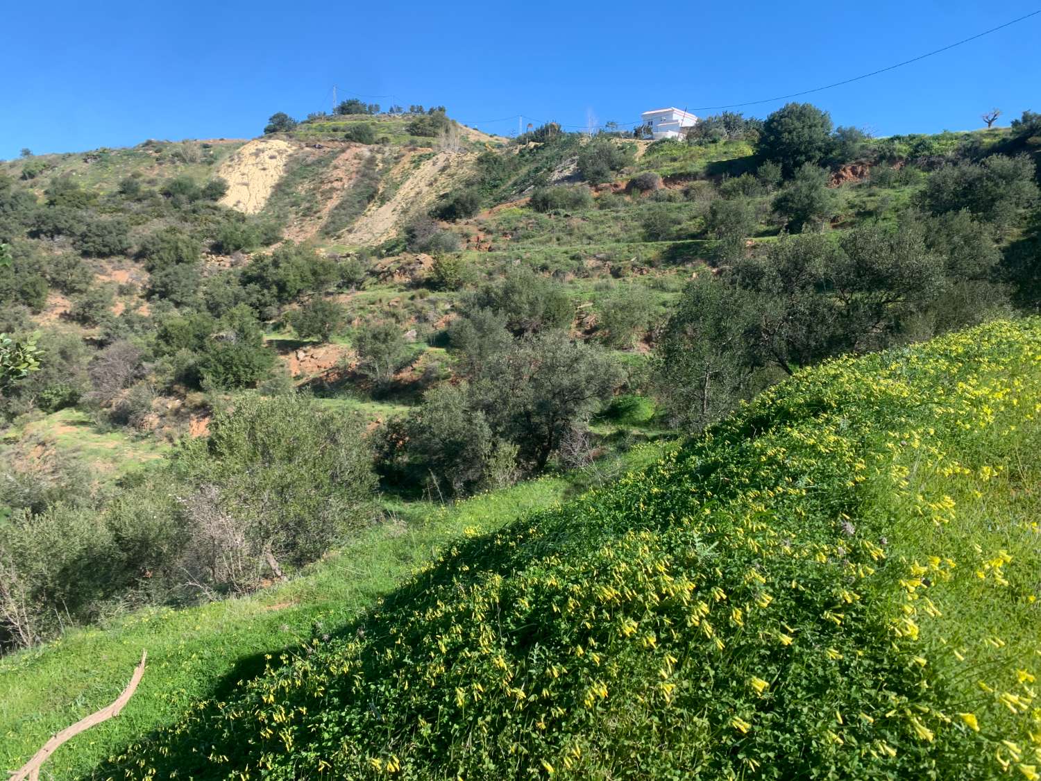 9.597 m2 Parcela con permiso de casa aperos , deposito de riego y vallado actual.