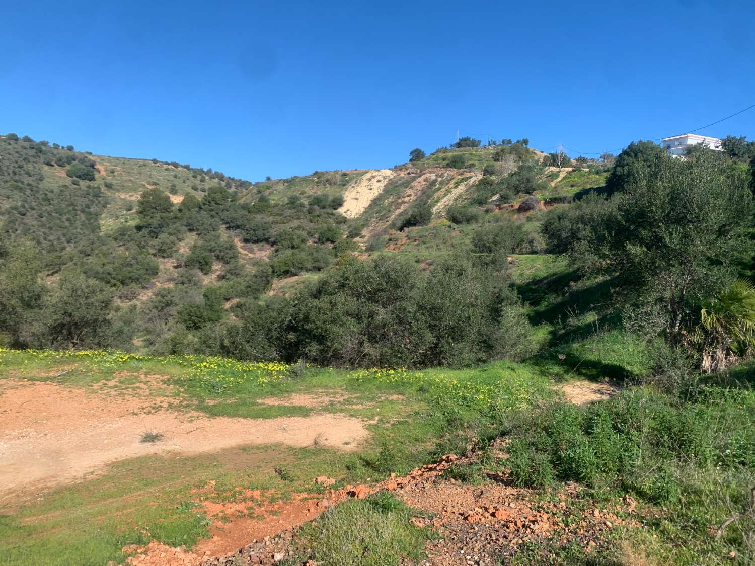 9.597 m2 Parcela con permiso de casa aperos , deposito de riego y vallado actual.